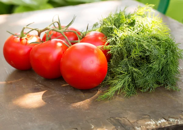Ekologiczne pomidory świeże i kopru włoskiego — Zdjęcie stockowe