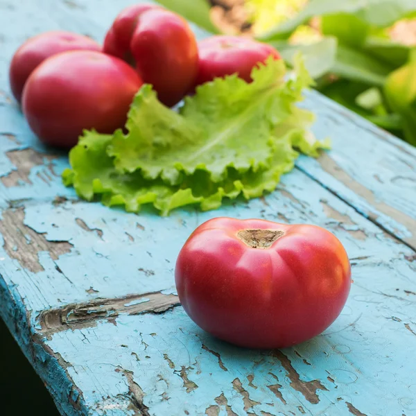 Fresh organic tomato — Stock Photo, Image