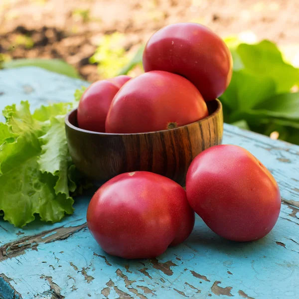 Fresh organic tomatoes in bowl — Stock Photo, Image