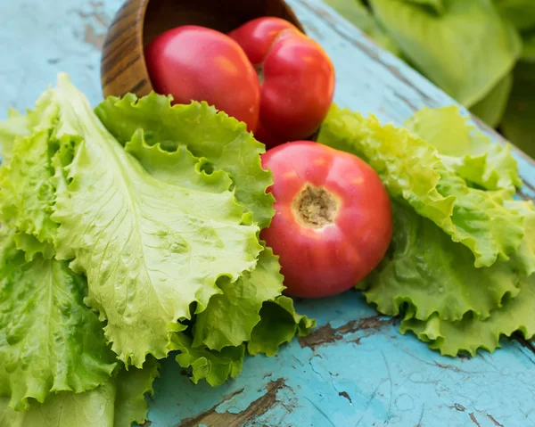 Fresh organic lettuce and tomatoes — Stock Photo, Image