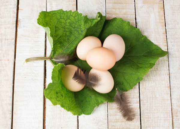 Huevos orgánicos frescos en hoja —  Fotos de Stock