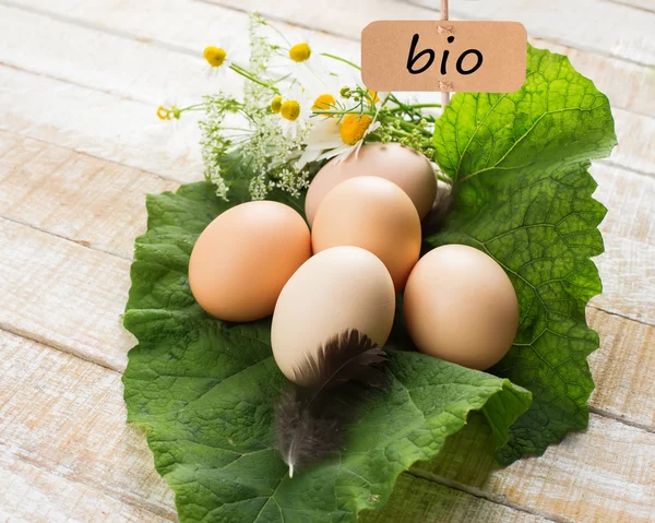 Frische Bio-Eier auf Blatt. Tag mit dem Wort bio. — Stockfoto