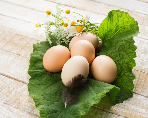 Huevos orgánicos frescos en hoja — Foto de Stock