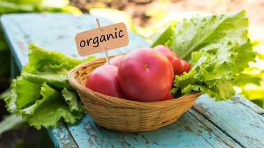 taze organik domates ve marul.