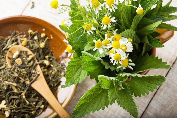 Té de hierbas seco en el plato —  Fotos de Stock