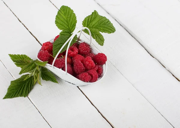 Frische Himbeeren — Stockfoto