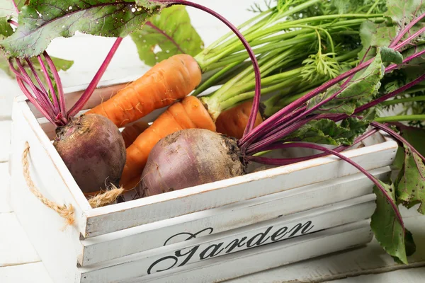 Verduras frescas en cubo — Foto de Stock