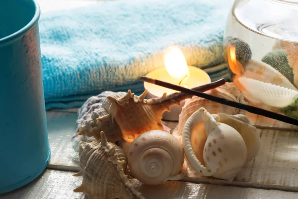 Seashells on wooden background — Stock Photo, Image