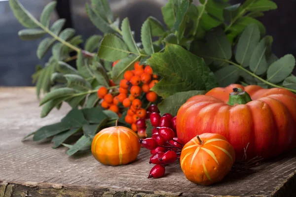 Herfst decoratie — Stockfoto