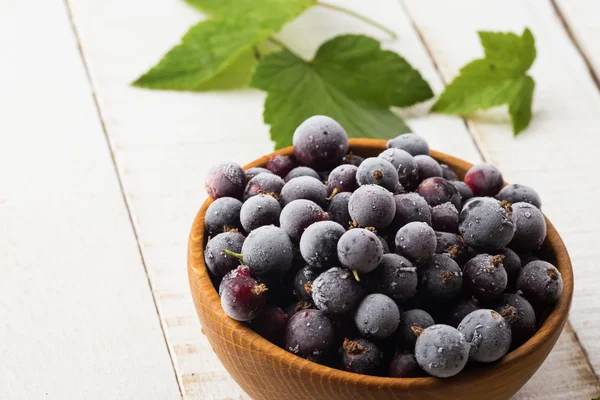 Frosen blackberries in bowl — Stock Photo, Image