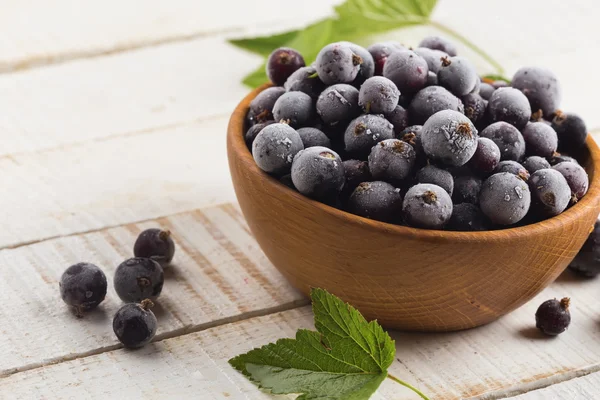Frosen blackberries in bowl — Stock Photo, Image
