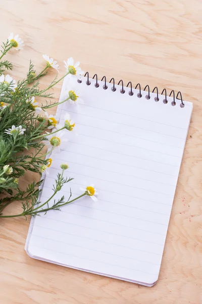 Nota e flores — Fotografia de Stock