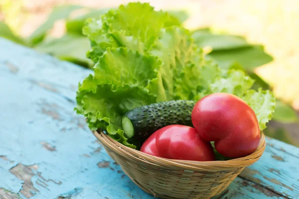 Fresh vegetables — Stock Photo, Image