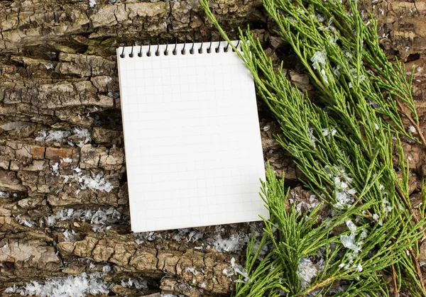 Composição decorativa do Natal e nota — Fotografia de Stock