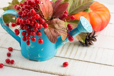 meyveleri kırmızı Kartopu çiçeği