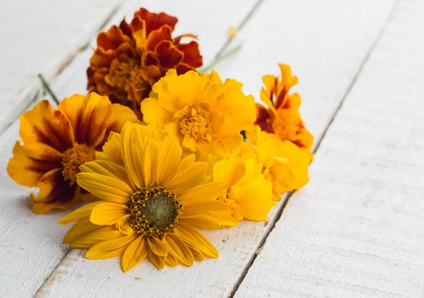 Flores de outono na mesa — Fotografia de Stock