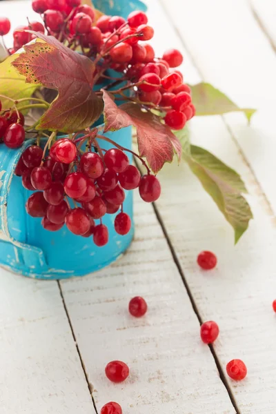 Berries of red viburnum — Stock Photo, Image