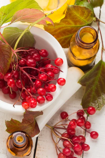 Berries of red viburnum. Homeopathy concept. — Stock Photo, Image