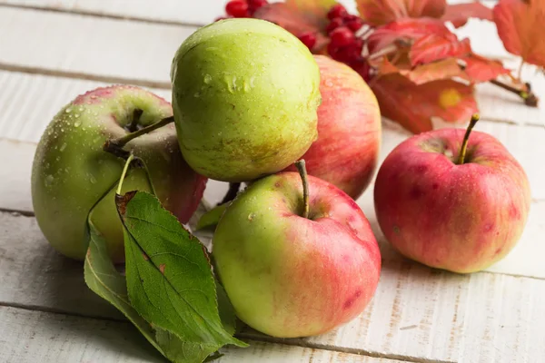 Frische Äpfel — Stockfoto