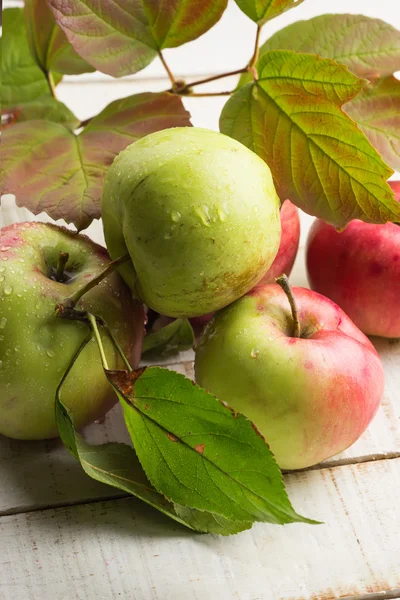 Frische Äpfel — Stockfoto