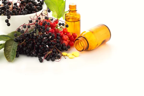 Fläder i murbruk, viburnum, läkemedel. homeopati koncept. — Stockfoto