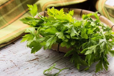 taze organik maydanoz