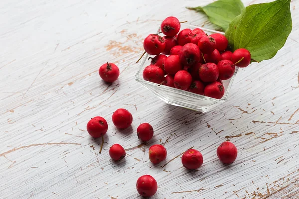 Hawthorn berry in bowl — Stock Photo, Image