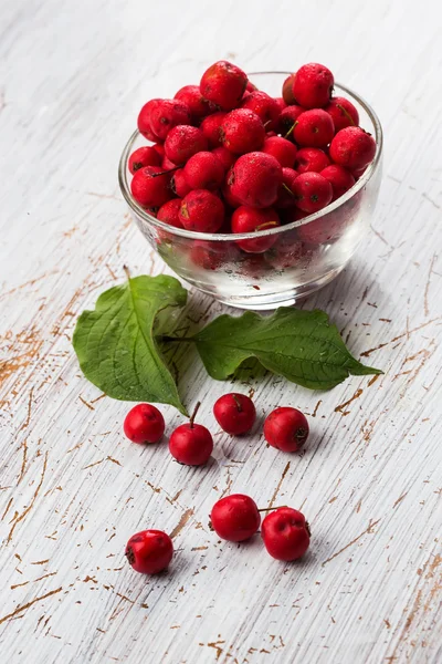 Hawthorn berry in bowl — Stock Photo, Image