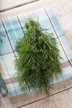 tablo üzerinde havlu üzerinde taze dereotu