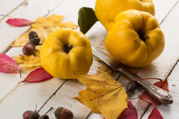 Fresh quinces — Stock Photo, Image