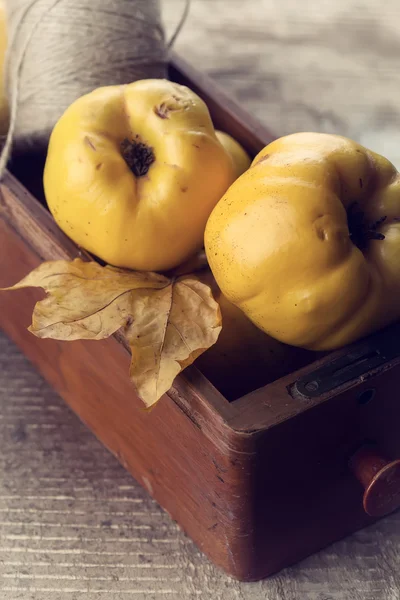 Fresh quinces and twine. Autumn postcard. — Stock Photo, Image