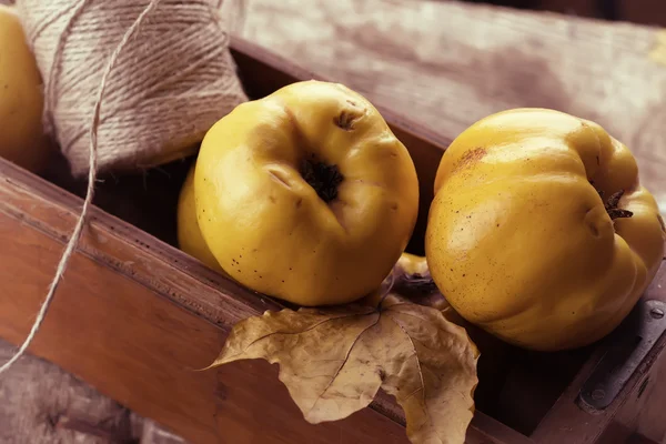 Quinces frescos e cordéis. Cartão postal de outono . — Fotografia de Stock