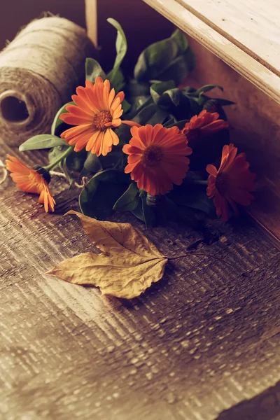 Herbstblumen in Schachtel auf Holztisch. Postkarte. — Stockfoto