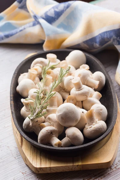 Ciuperci proaspete — Fotografie, imagine de stoc