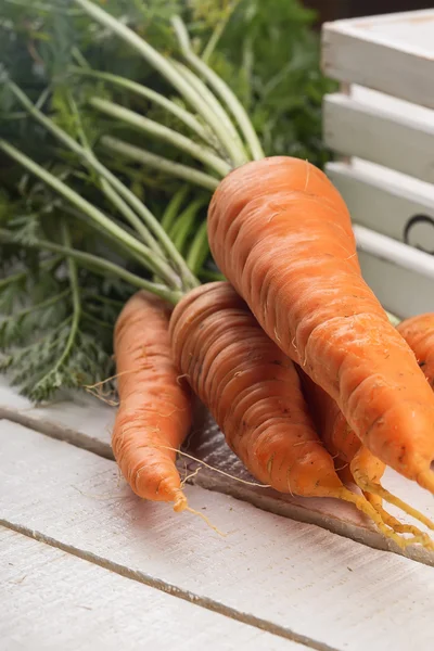 Свежая морковь на столе — стоковое фото