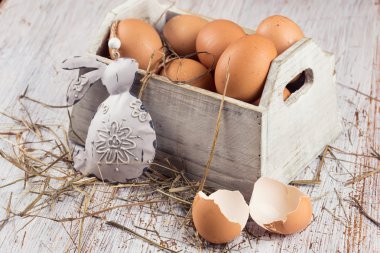 tavuk yumurtası