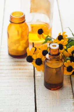 otlar ve ilaç şişesiyle. kavram homeopati.