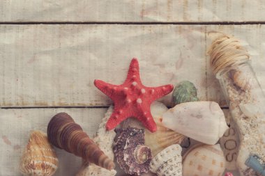 Ahşap arka planda deniz kabukları