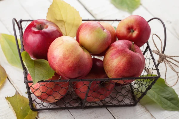 Manzanas frescas en cubo metálico —  Fotos de Stock