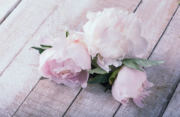 Ansichtkaart met elegante bloemen — Stockfoto