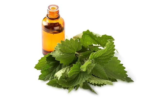 temel aroma yağı