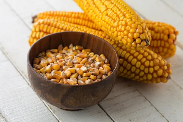 新鲜玉米 — 图库照片