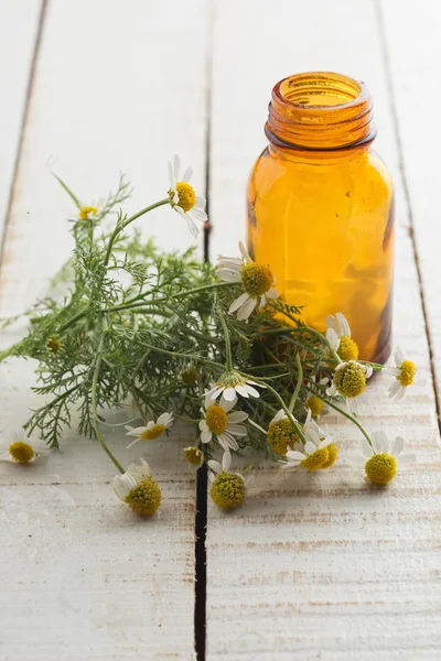 Ervas e frasco com medicamentos . — Fotografia de Stock