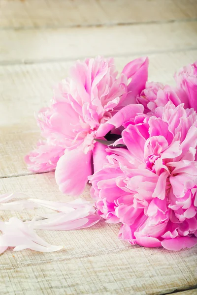 Carte postale avec des fleurs élégantes pivoine — Photo