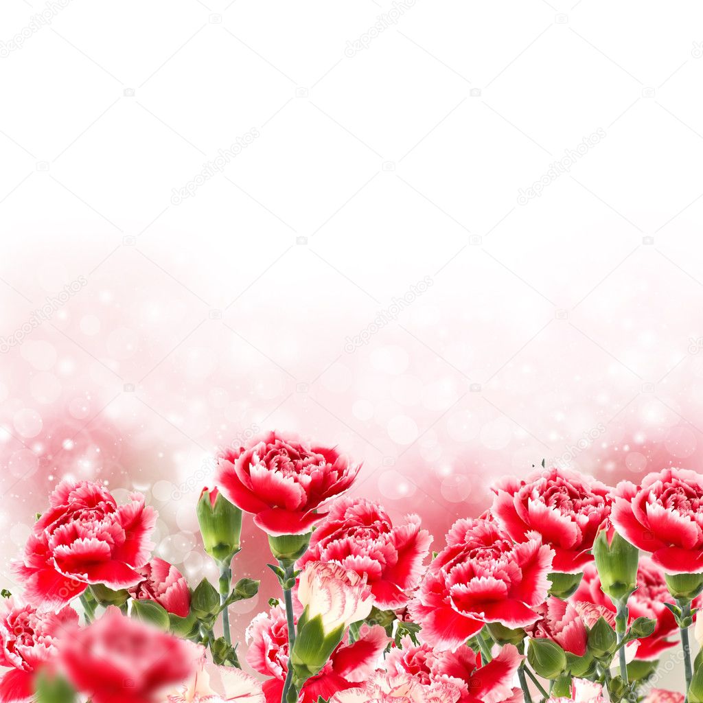Elegant flowers and empty place for your text