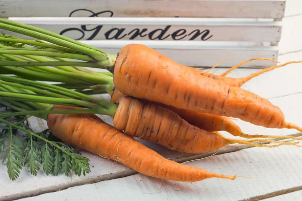 Verduras frescas zanahorias — Foto de Stock