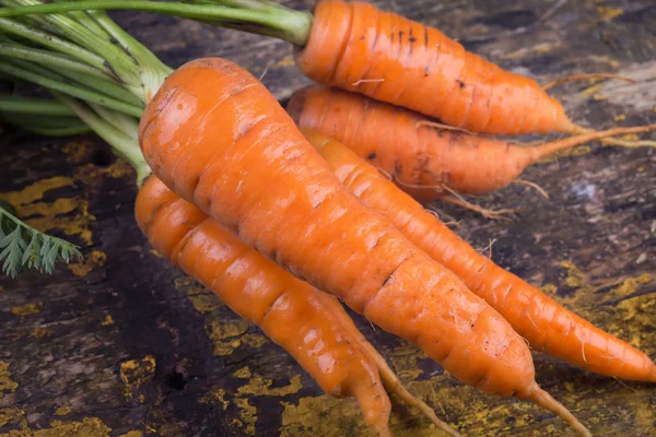 Verduras frescas zanahorias — Foto de Stock