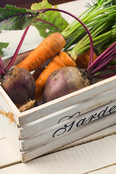 Verduras frescas en cubo — Foto de Stock