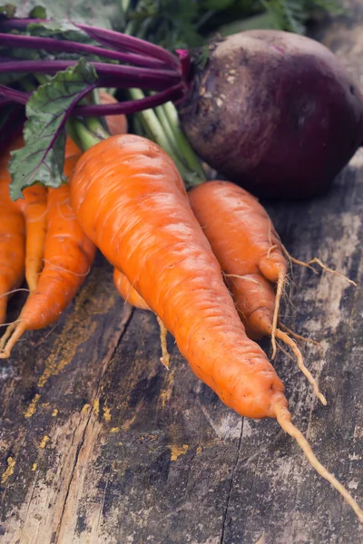 Produtos hortícolas frescos — Fotografia de Stock