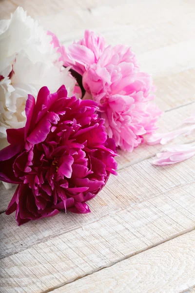 Postal con elegantes flores de peonía —  Fotos de Stock